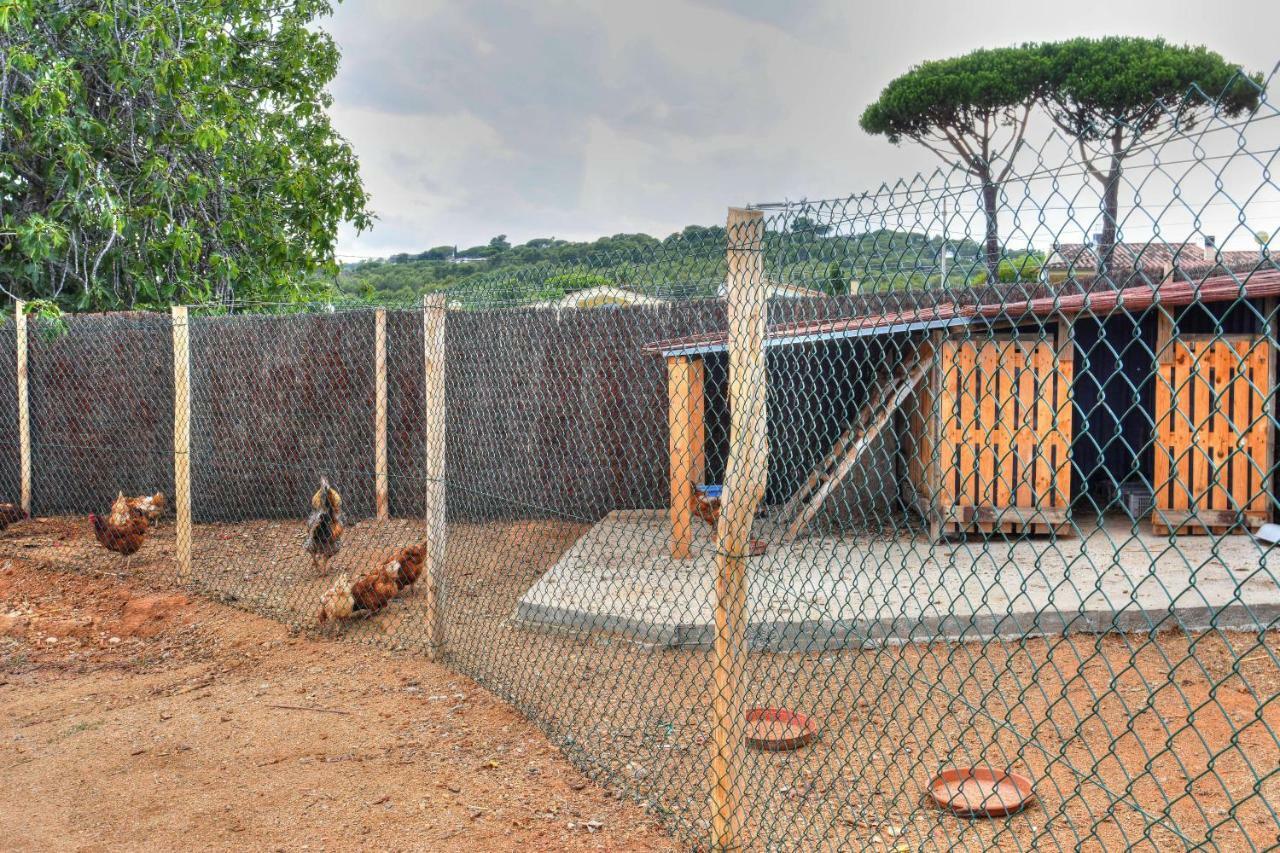 Masia Cal Ros S'Agaro Buitenkant foto